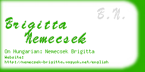 brigitta nemecsek business card
